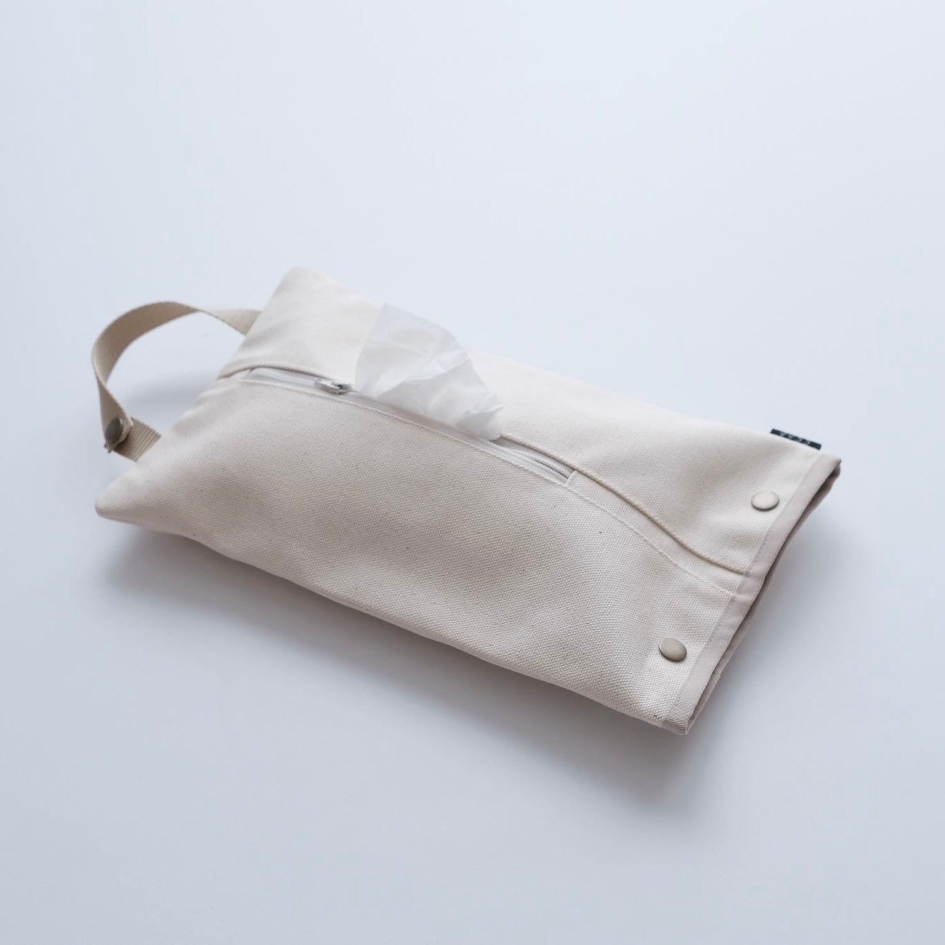 tissue case